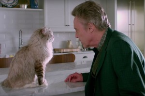 Nine Lives