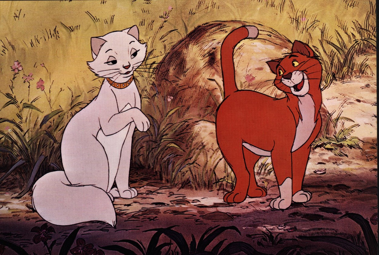 Not essential Periodic ruler Disney pregătește o adaptare live action după celebra animație „Pisicile Aristocrate” - TVmania.ro Not essential Periodic ruler Disney pregătește o adaptare live action după celebra animație „Pisicile Aristocrate” - TVmania.ro
